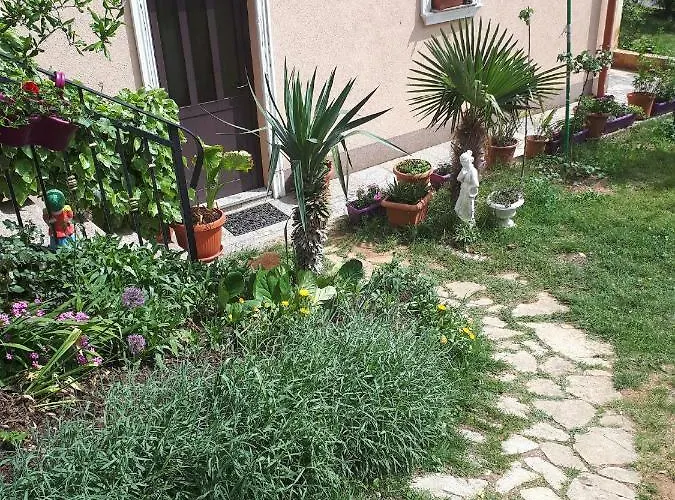 Апартаменты Dijana *