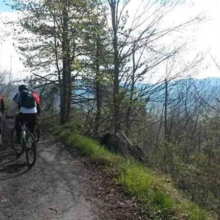 Apartmán Dijana Bakar